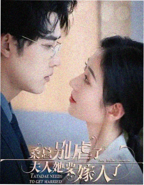 雾港档案热播剧集在线观看海报